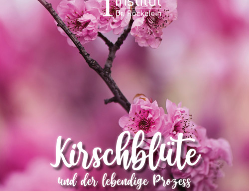 Ausgabe 05/2023: Kirschblüte – und der lebendige Prozess der Transformation